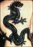 backdragon