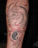 dragon1611545