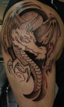 dragon_1st_session_by_strangeris