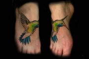 kolibri