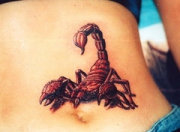 skorpion