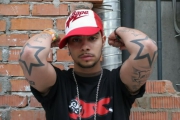 tatu-na-logtyah