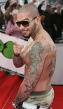 tatu-na-pleche