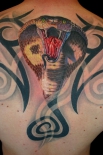 cobra