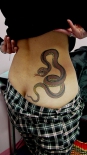new-snake-tattoo-designs-1