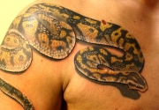 snake-img2