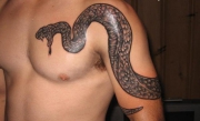 snake-tattoo-6336124968073650007