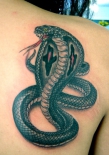 snake-tattoo-design