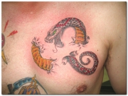 snake-tattoo-designs-pictures-10