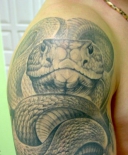 snake-tattoo-on-shoulder-1321447222