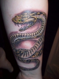 snake-tattoos-3ya