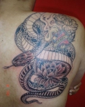 snake34