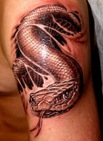 snakes03