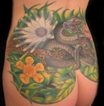 tatu